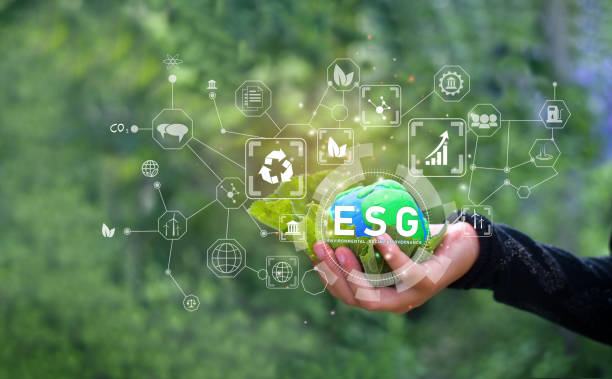 ESG Ratings: A Measure of Sustainable Development